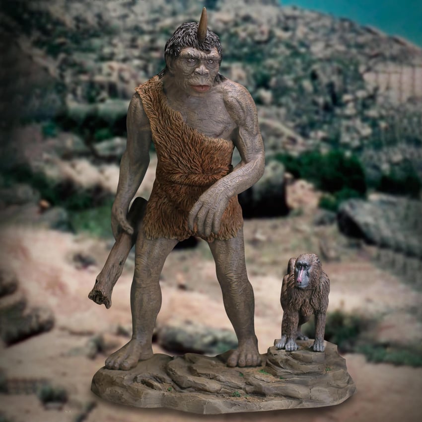 Troglodyte Deluxe
