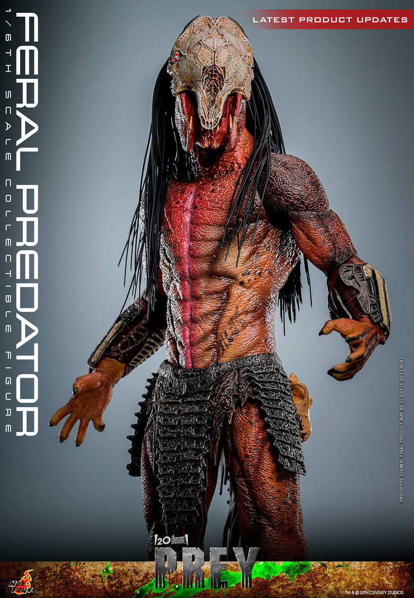 Feral Predator