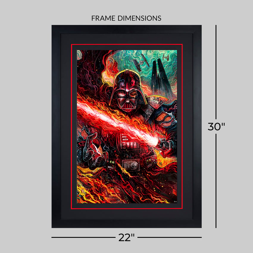 2387-darth-vader-dark-lord-039-s-fury-1.jpg