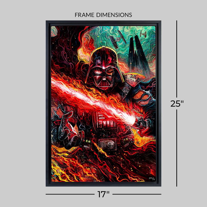 2387-darth-vader-dark-lord-039-s-fury-1.jpg