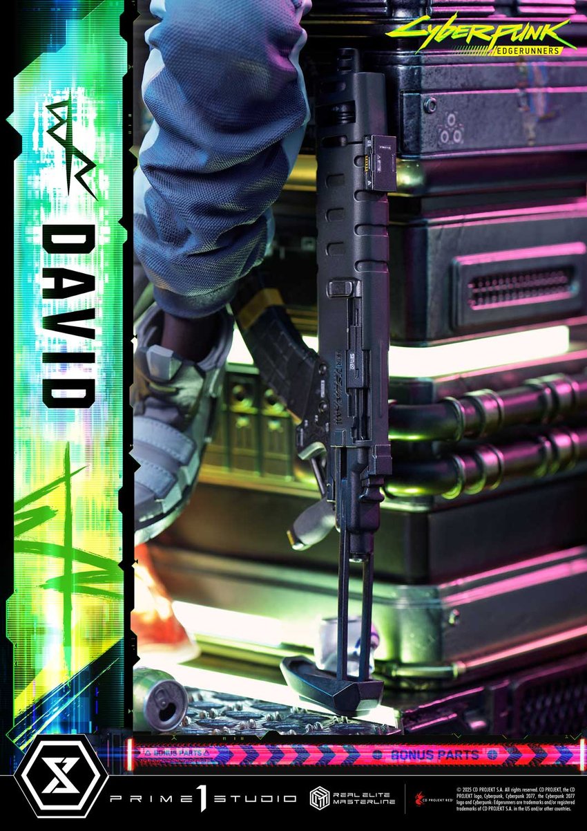 261-david-1.jpg