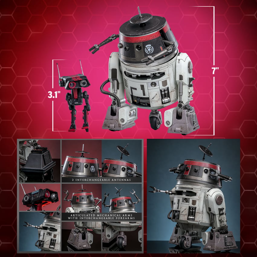 Chopper (C1-10P?) & BD-1? (Imperial Disguise)