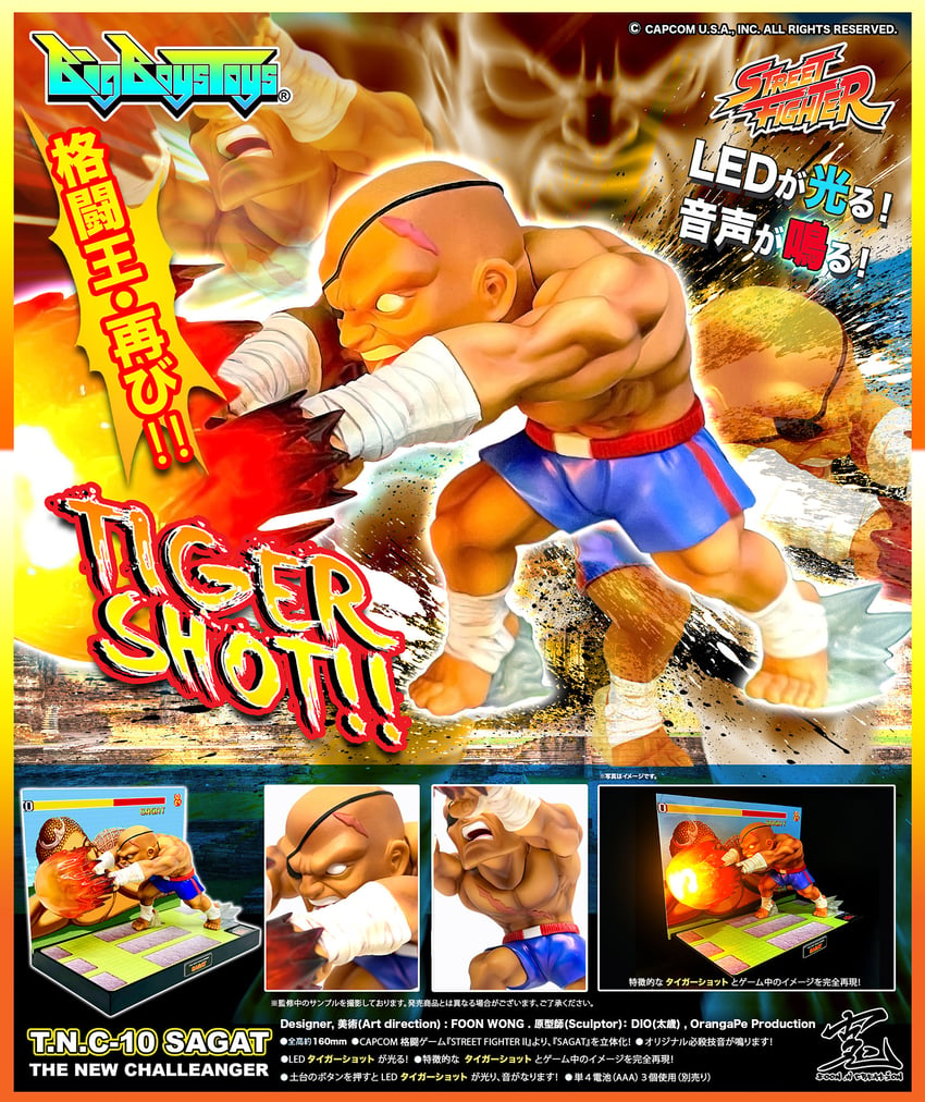 Sagat 1 2935-sagat-1.jpg