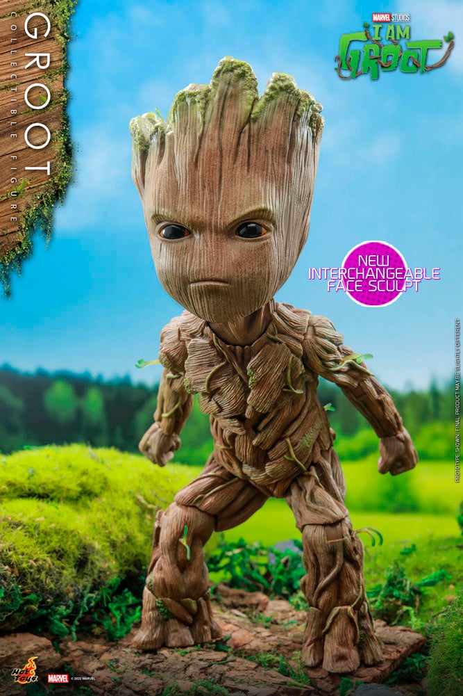 3141-groot-1.jpg