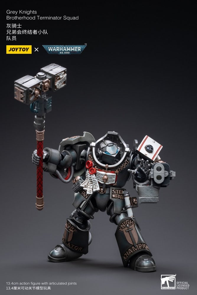 3235-grey-knights-terminator-caddon-vibova-1.jpg