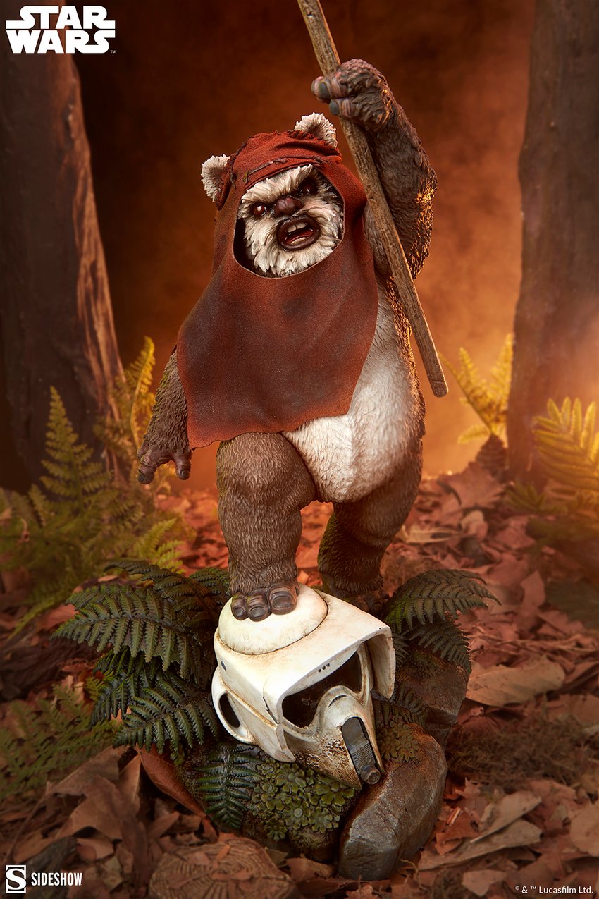 Wicket?