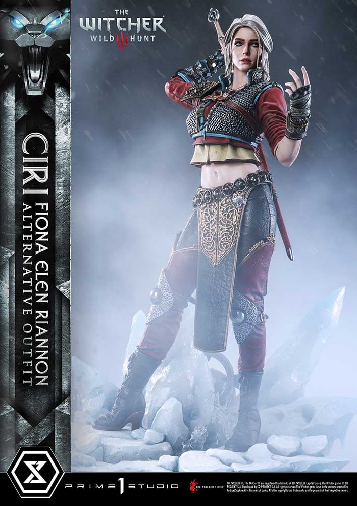 Cirilla Fiona Elen Riannon Alternative Outfit