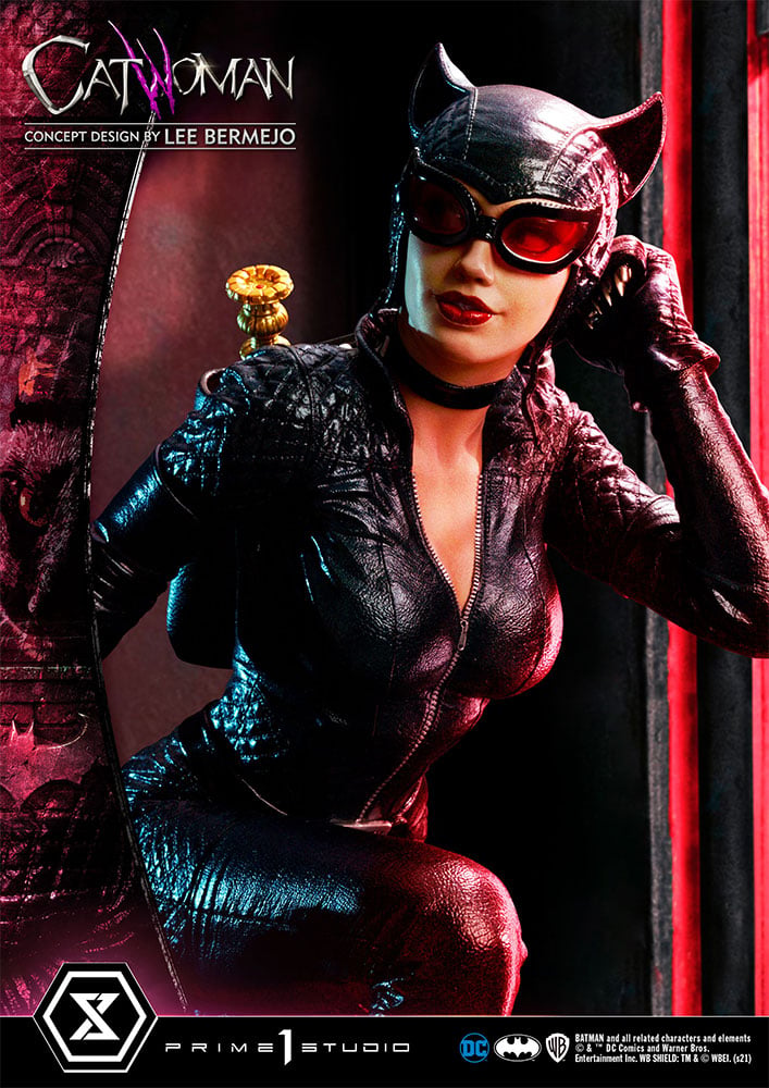 3422-catwoman-1.jpg