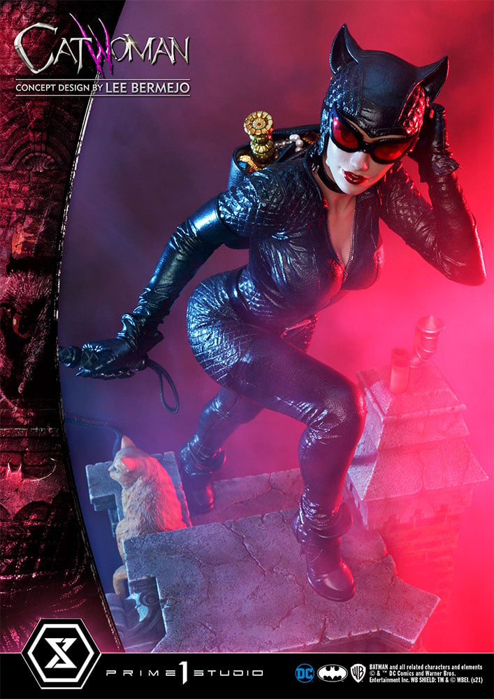 3422-catwoman-1.jpg