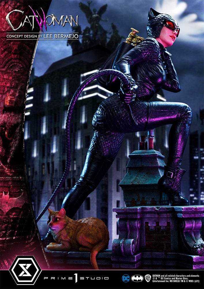 3422-catwoman-1.jpg