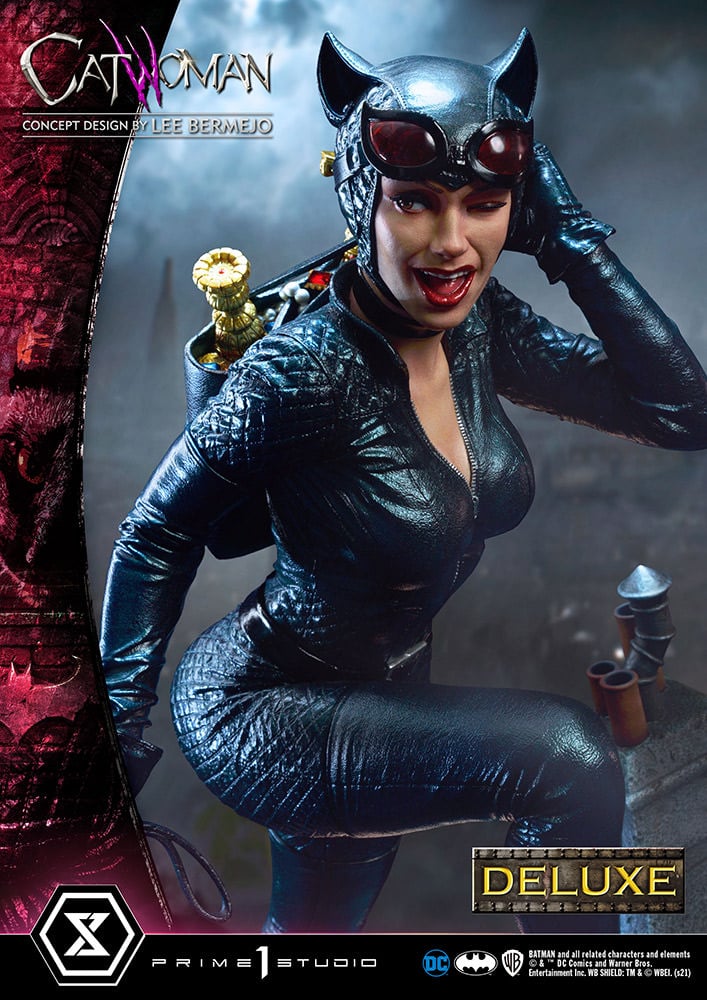 3422-catwoman-1.jpg