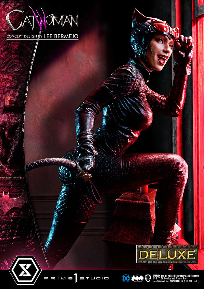 3422-catwoman-1.jpg