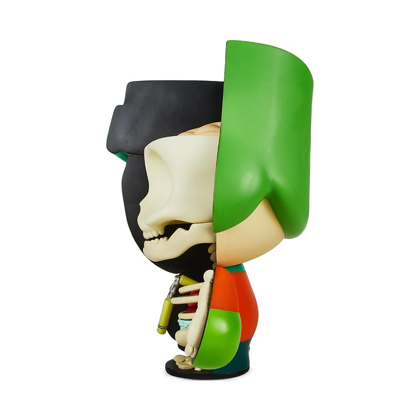 3475-kyle-anatomy-1.png