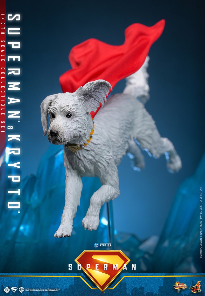 350-superman-krypto–1.jpg