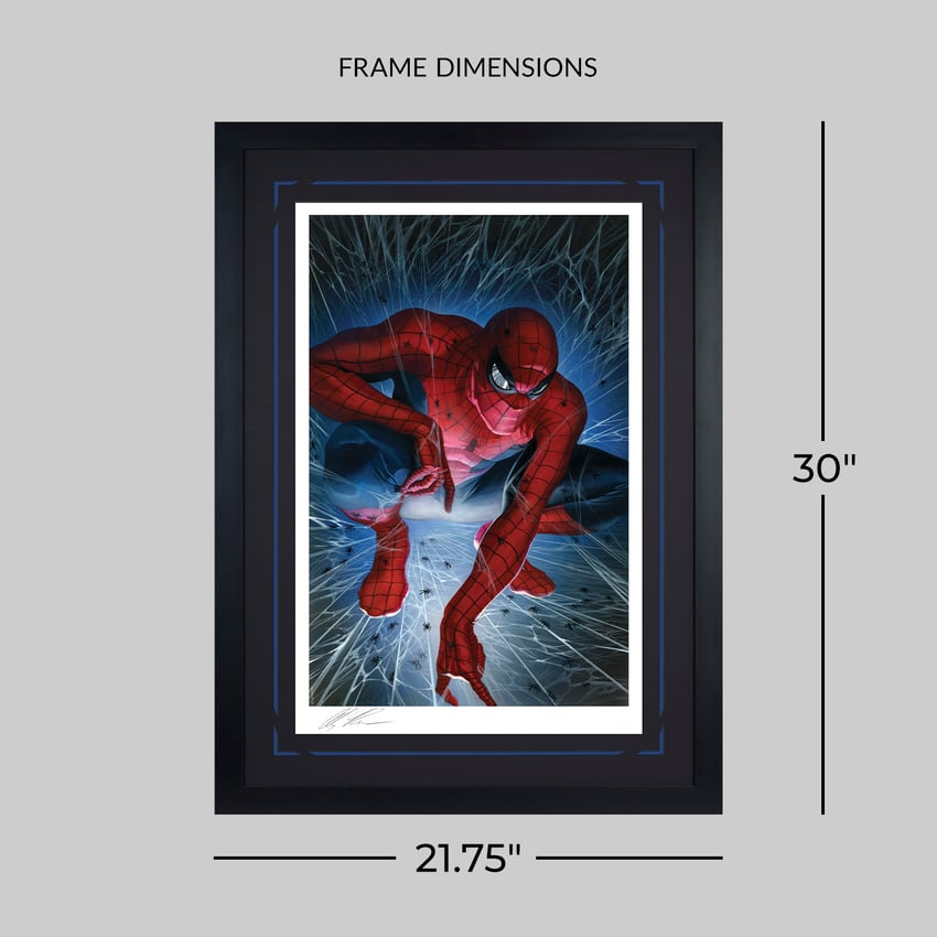 373-spider-man-1-torment-1.jpg