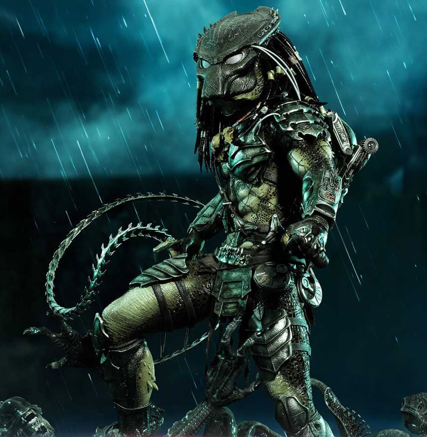 378-wolf-predator-1.jpg