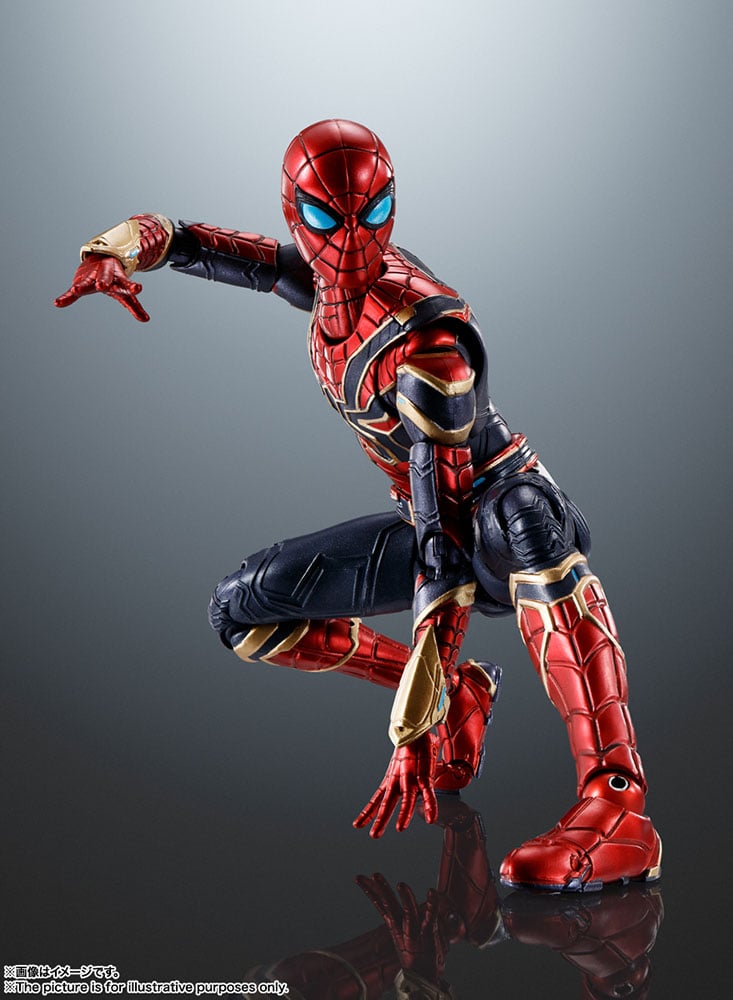 3874-iron-spider-1.jpg