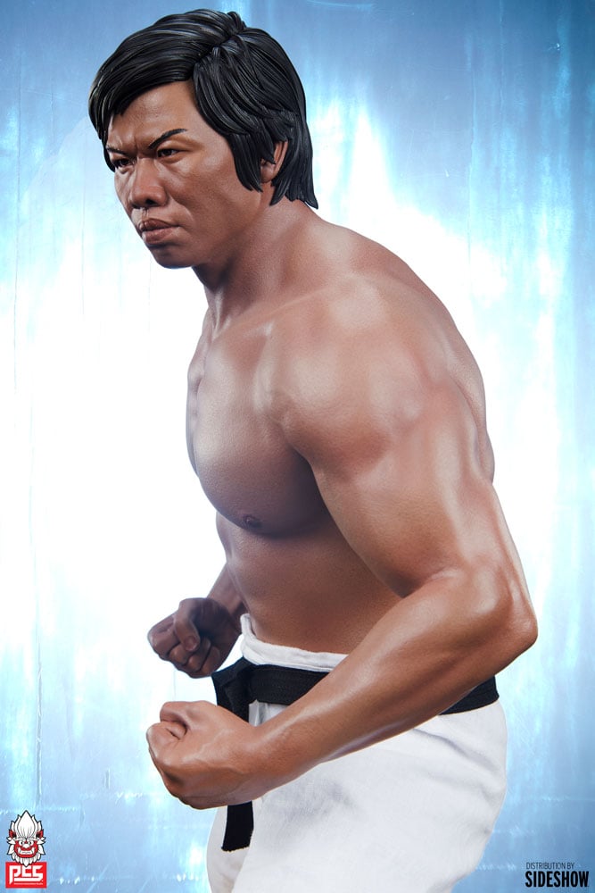 4044-bolo-yeung-jeet-kune-do-tribute-1.jpg