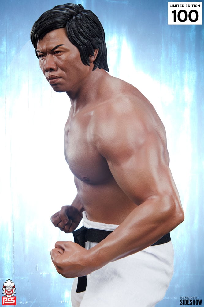 4044-bolo-yeung-jeet-kune-do-tribute-1.jpg