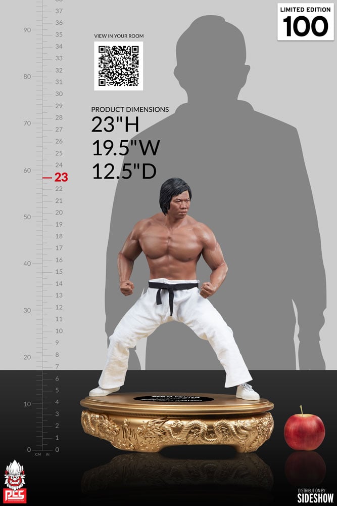 4044-bolo-yeung-jeet-kune-do-tribute-1.jpg