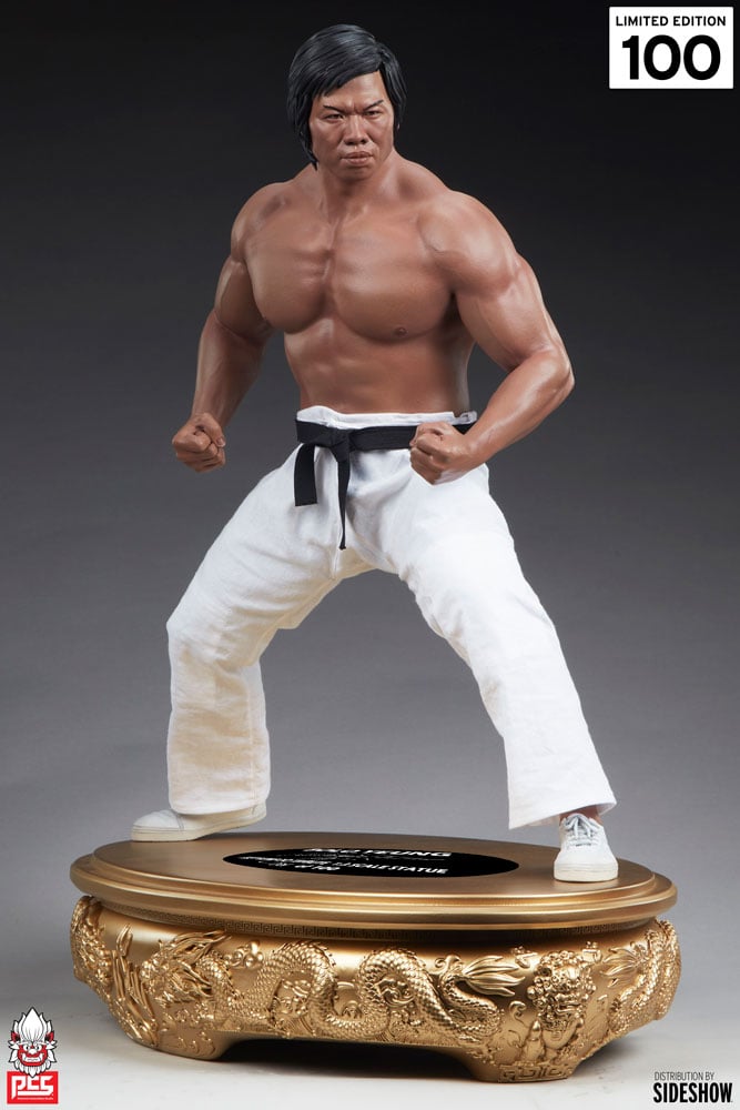 4044-bolo-yeung-jeet-kune-do-tribute-1.jpg