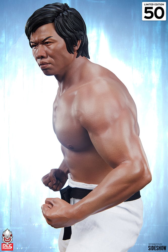 4045-bolo-yeung-evolution-autograph-edition-tribute-set-1.jpg