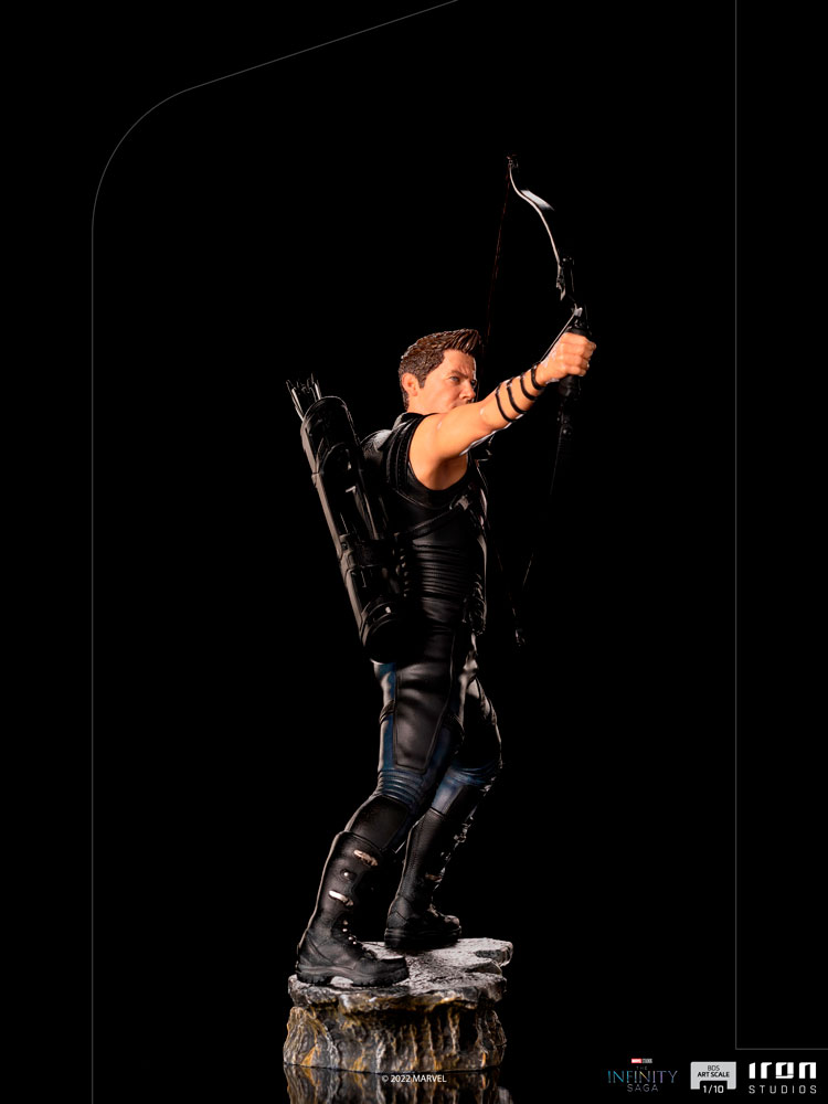 4357-hawkeye-battle-of-ny–1.jpg