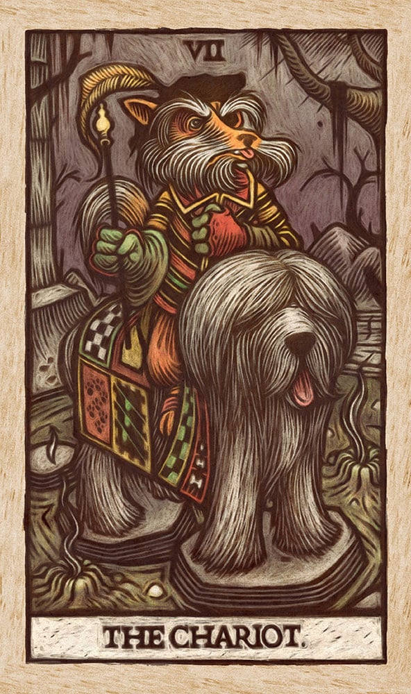 5153-labyrinth-tarot-deck-and-guidebook-1.jpg