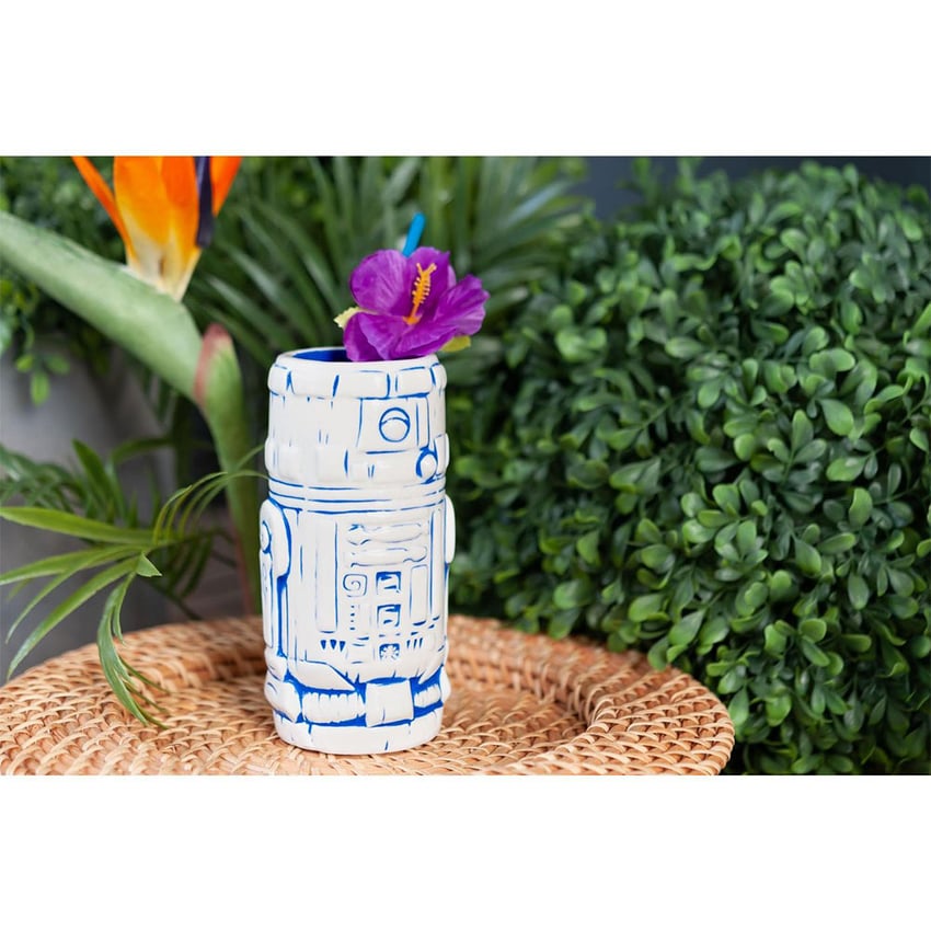 6272-r2-d2-1.jpg