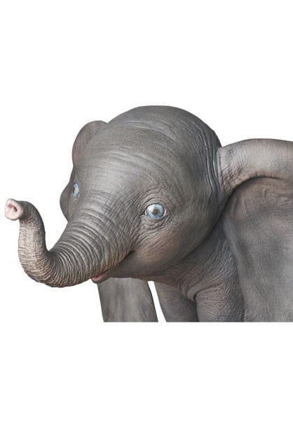 6581-dumbo-1.jpg