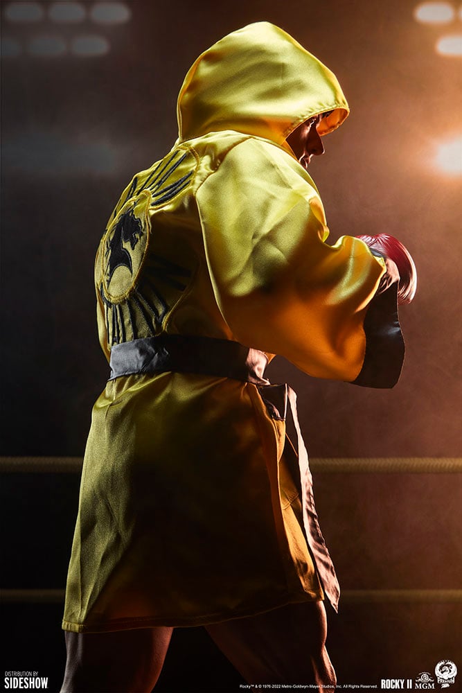 6656-rocky-1.jpg