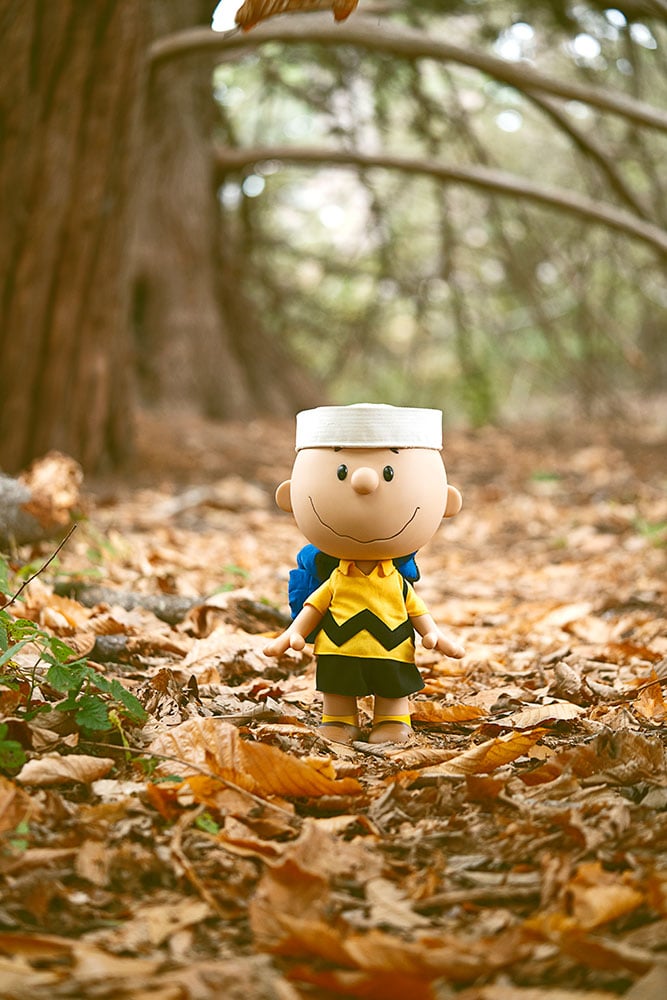 Charlie Brown