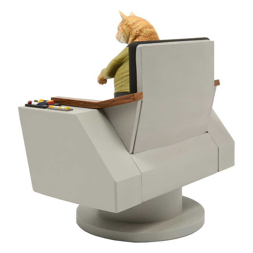 James T. Kirk Cat