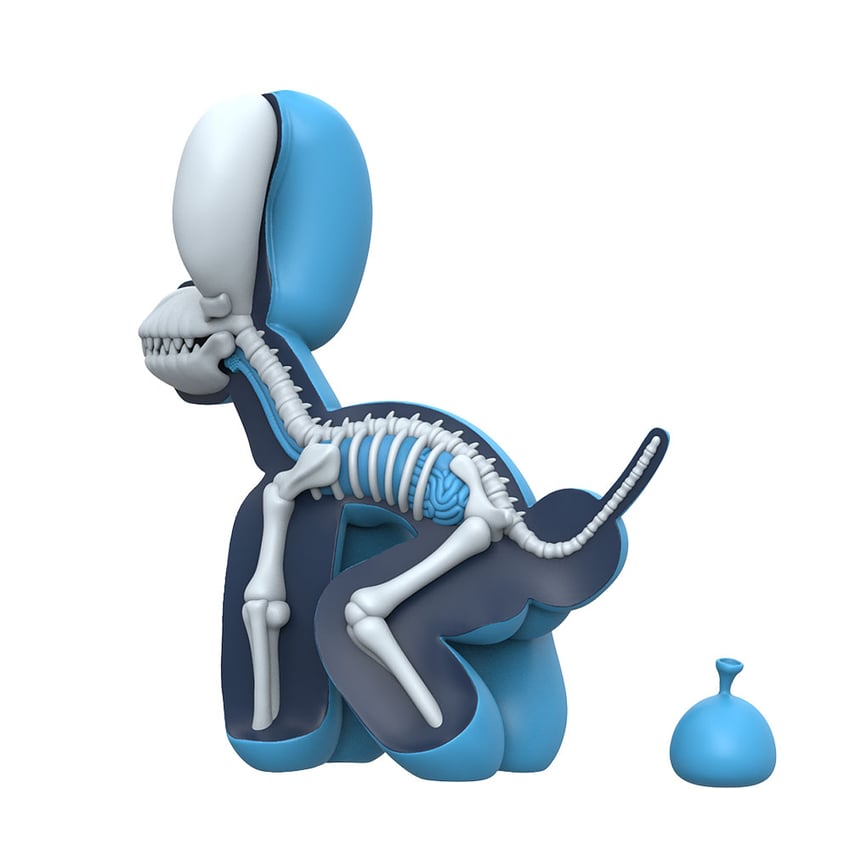 6953-dissected-popek-blue-edition–1.jpg
