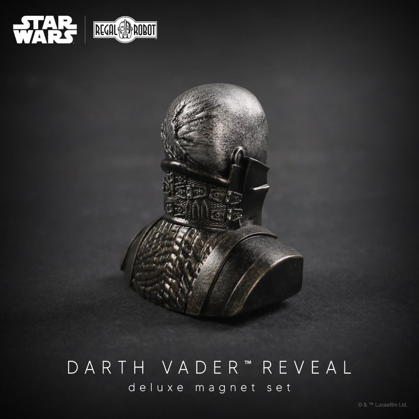 7294-darth-vader-reveal-deluxe-magnet-set-1.jpg