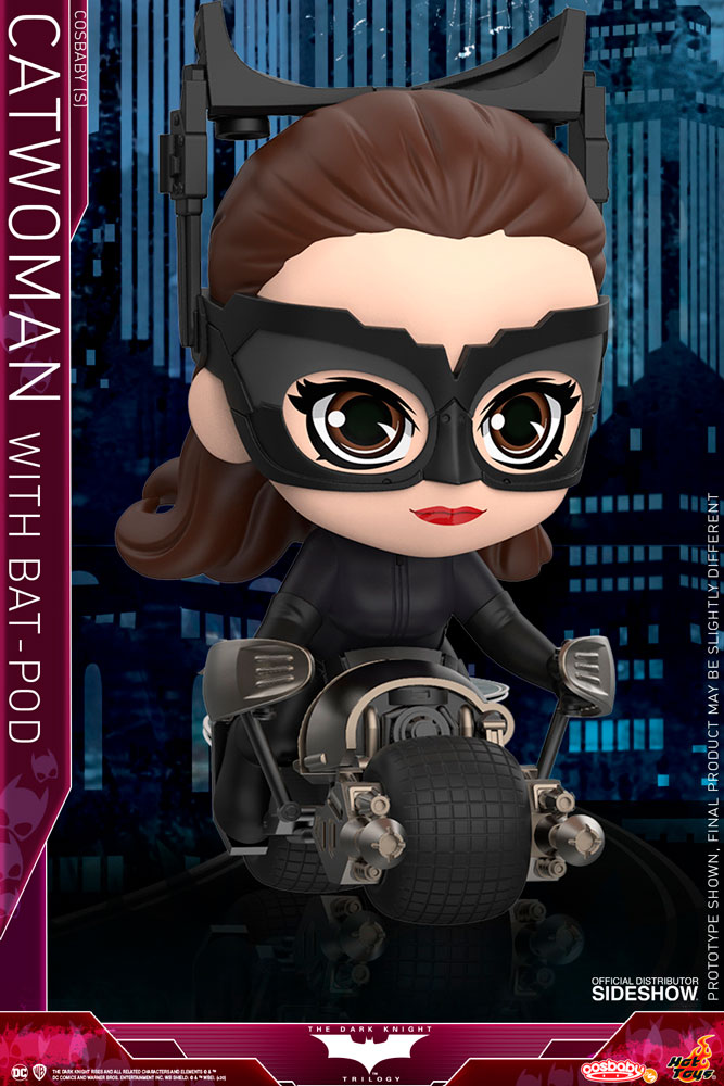 7857-catwoman-with-bat-pod-1.jpg