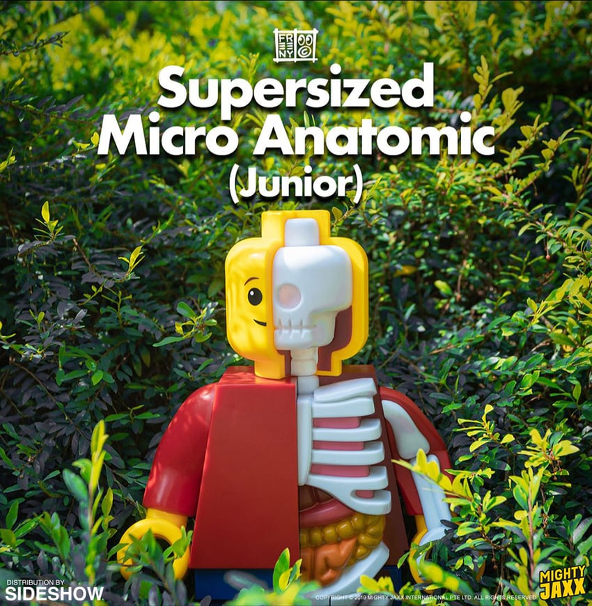 8255-supersized-micro-anatomic-junior–1.jpg