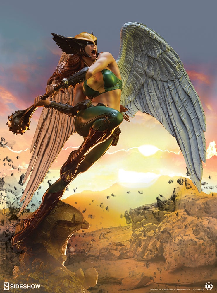 8274-hawkgirl-1.jpg