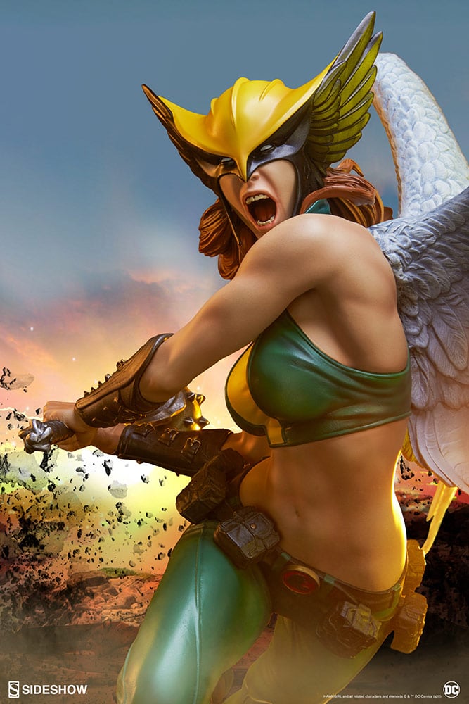 8274-hawkgirl-1.jpg