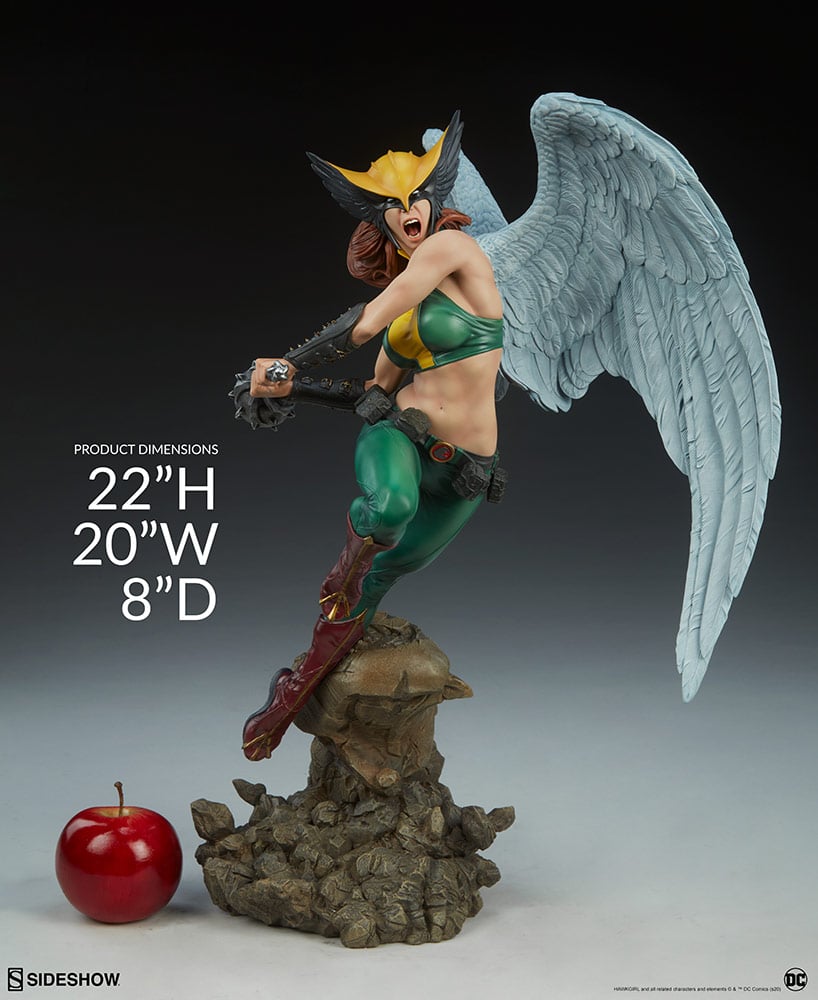 8274-hawkgirl-1.jpg