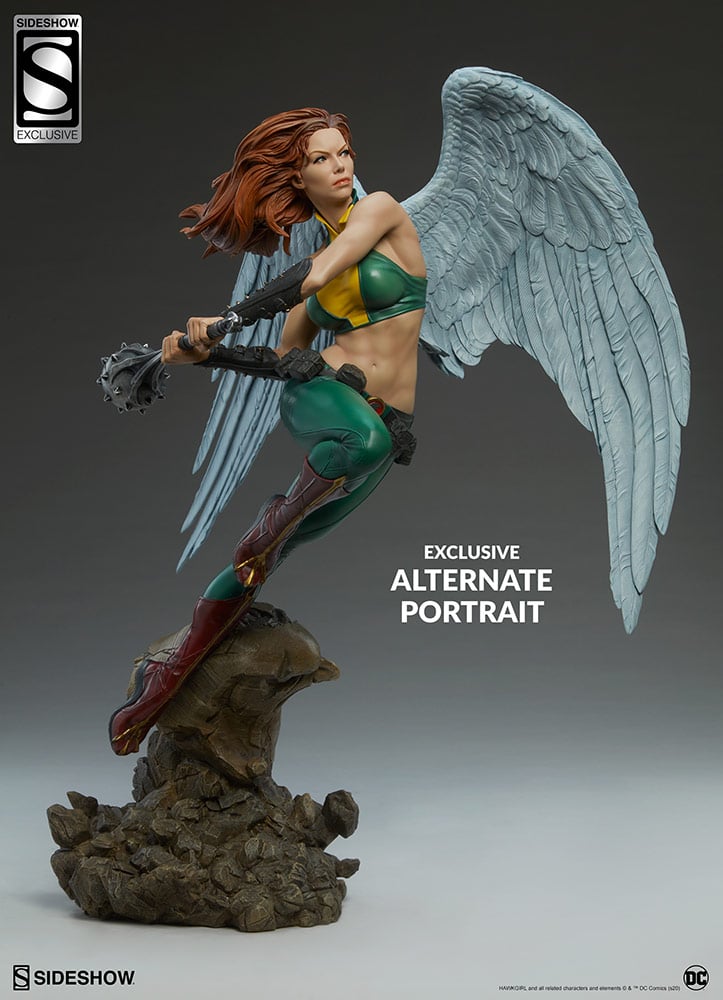 8274-hawkgirl-1.jpg