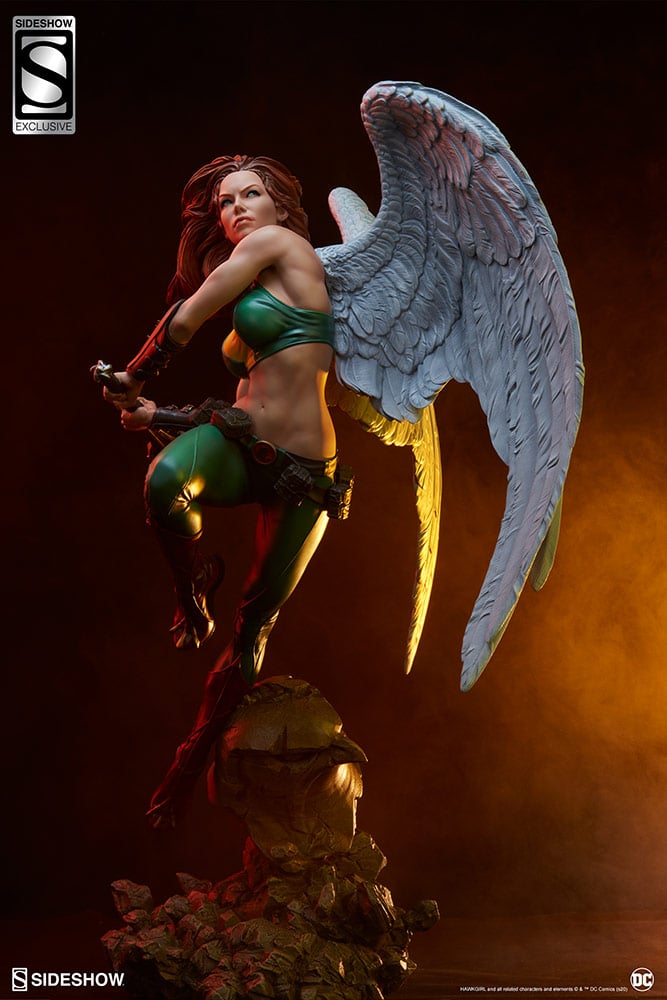 8274-hawkgirl-1.jpg