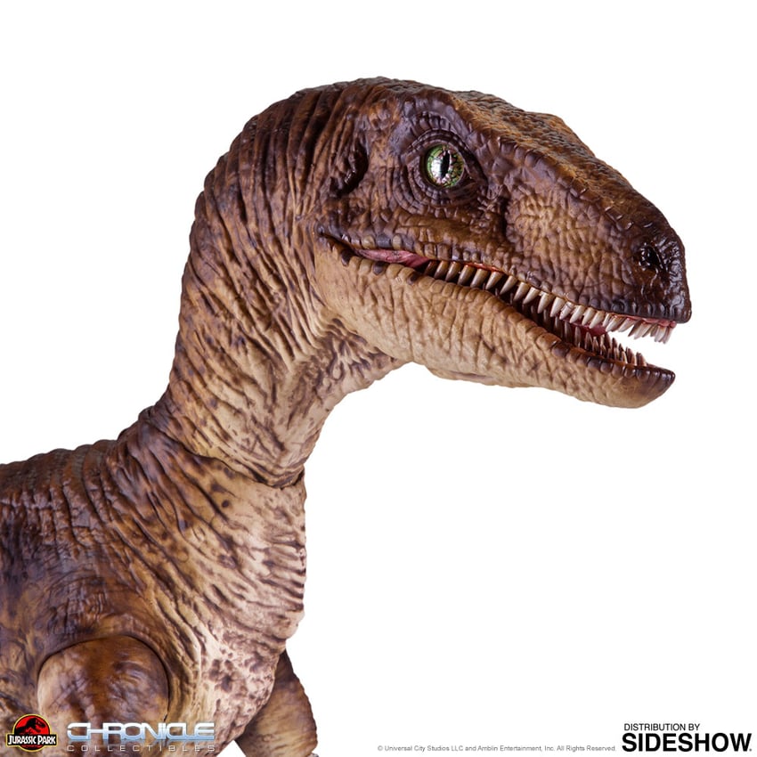 8384-velociraptor-1.jpg