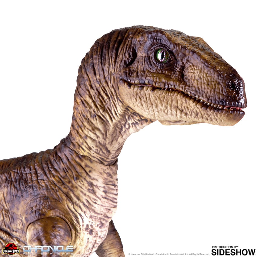 8384-velociraptor-1.jpg