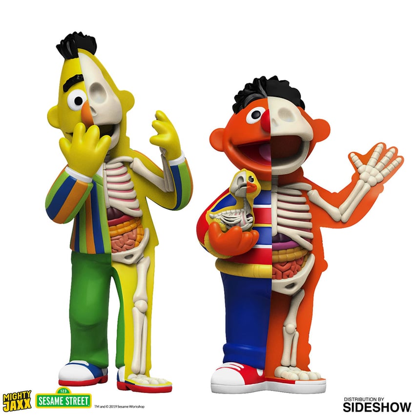 8621-xxray-plus-bert-ernie-1.jpg