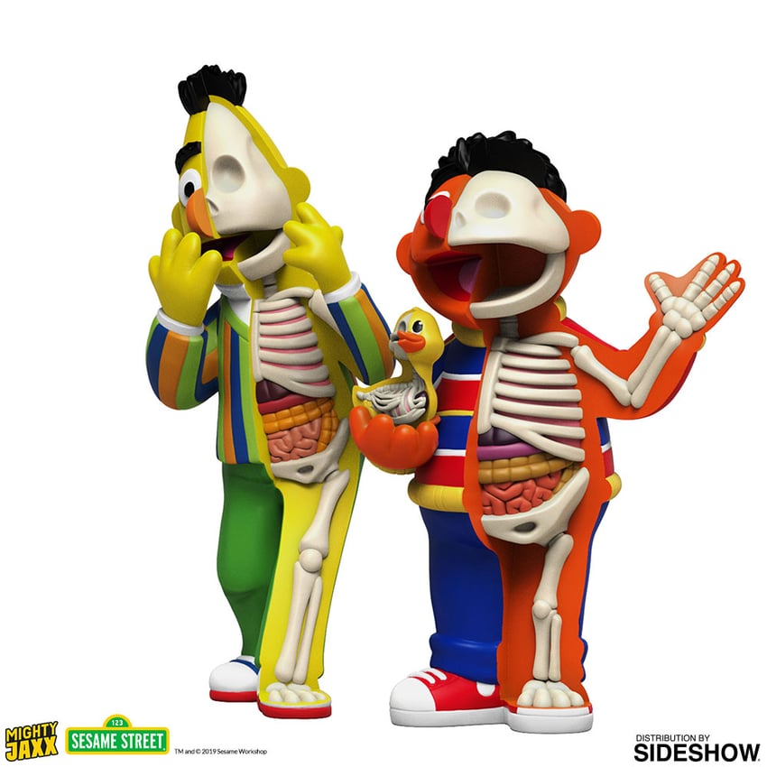 8621-xxray-plus-bert-ernie-1.jpg