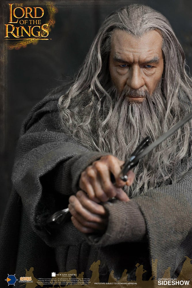 Gandalf the Grey 1 8689-gandalf-the-grey-1.jpg