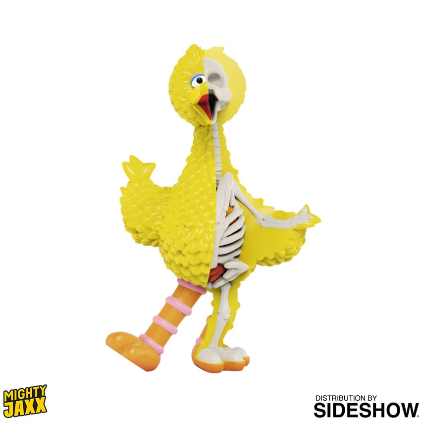 XXRAY Plus: Big Bird