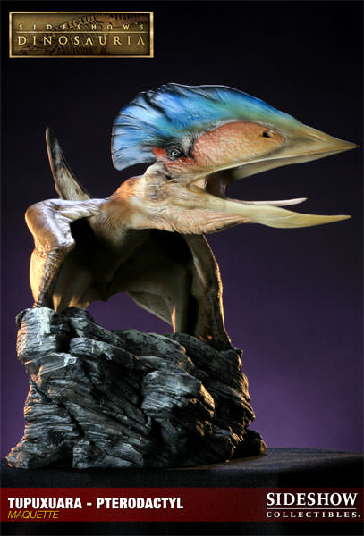 Tupuxuara - Pterodactyl