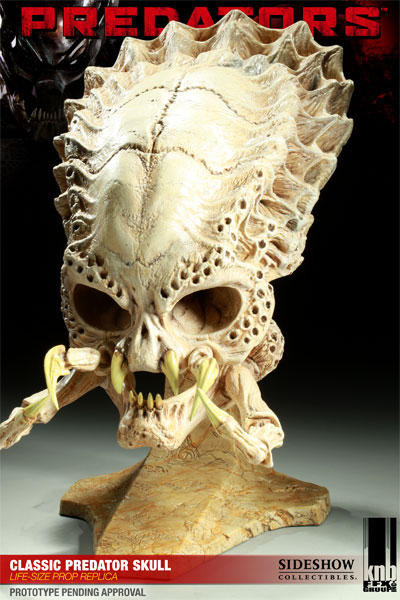 9358-classic-predator-skull-1.jpg